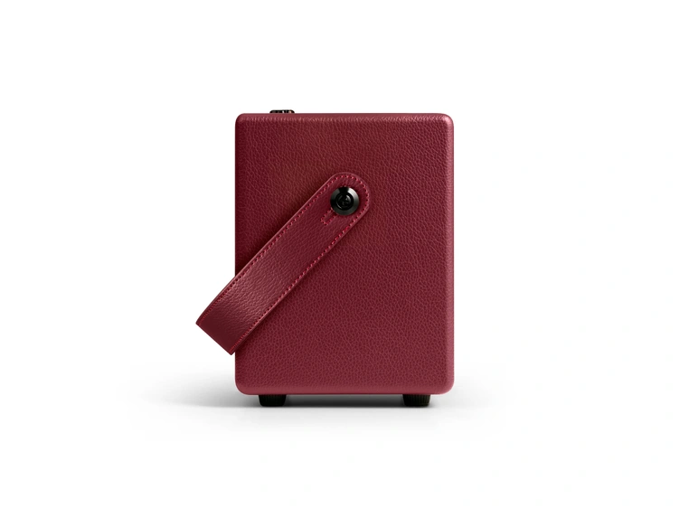 Positive Grid Spark MINI Vai 