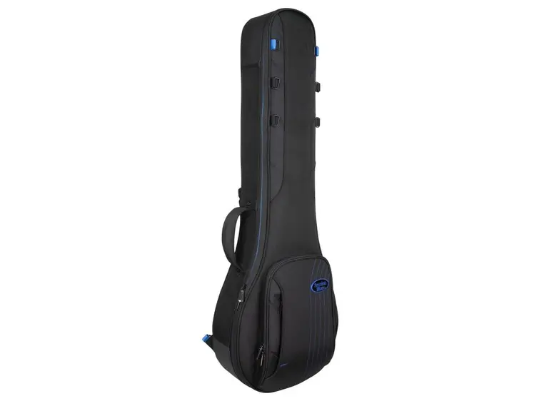 Reunion Blues Expedition Banjo Case 