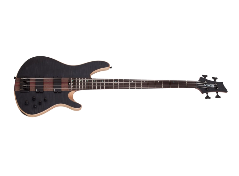 Schecter Charles Berthoud CB-4 