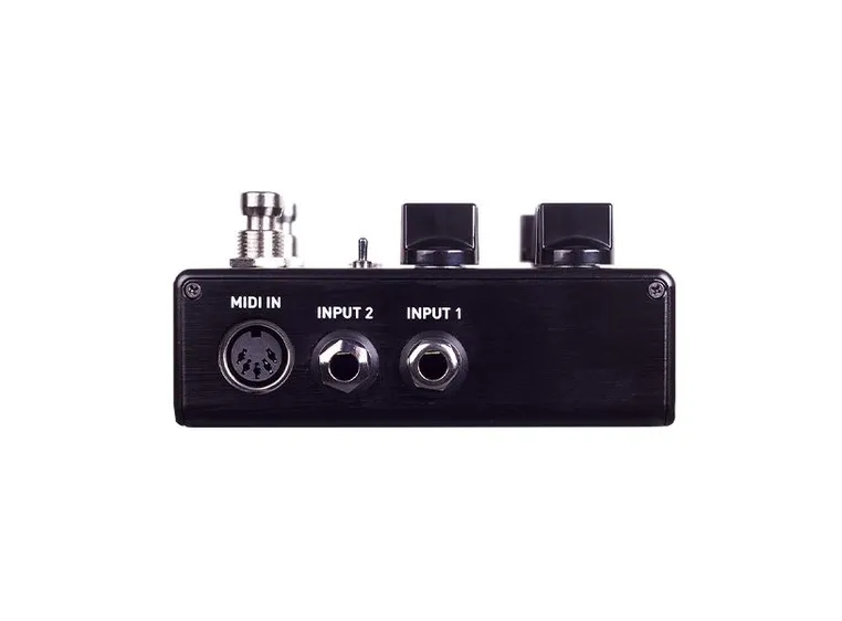 Source Audio Encounter Ambient Delay + Reverb 