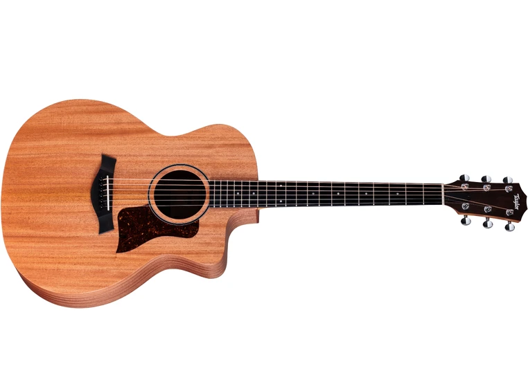 Taylor 24ce 