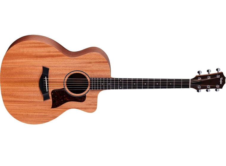 Taylor 24ce 