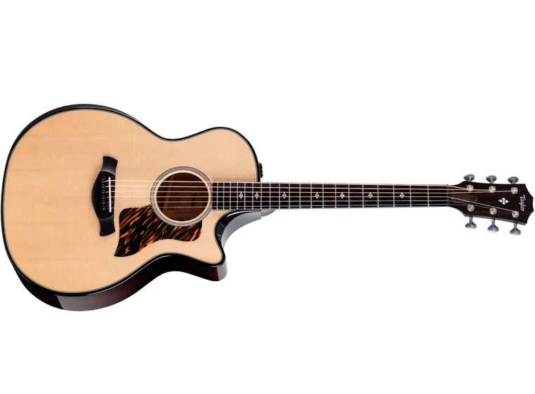 Taylor Builder's Edition 514ce Natural top 