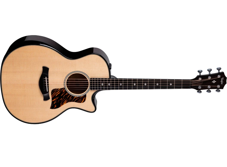 Taylor Builder's Edition 514ce Natural top 