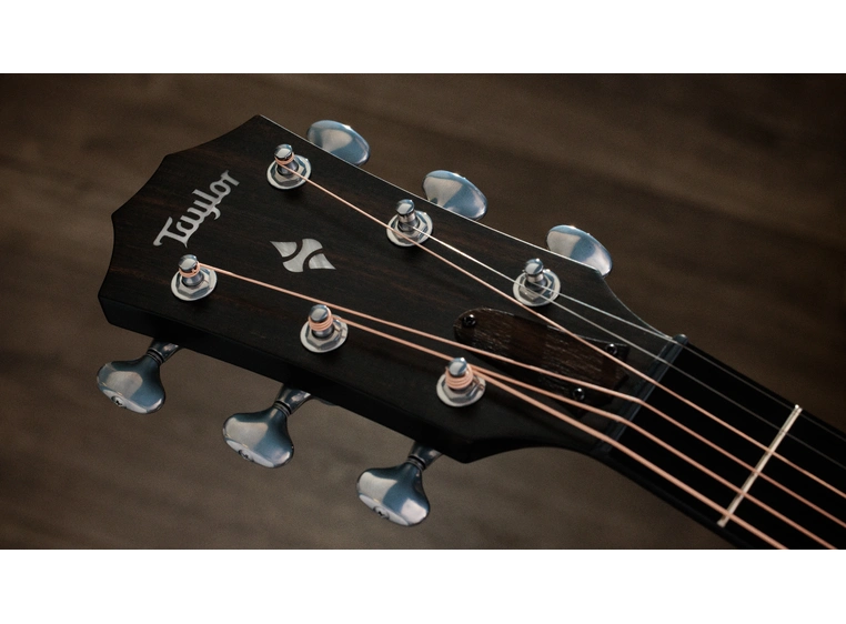 Taylor Builder's Edition 514ce Natural top 