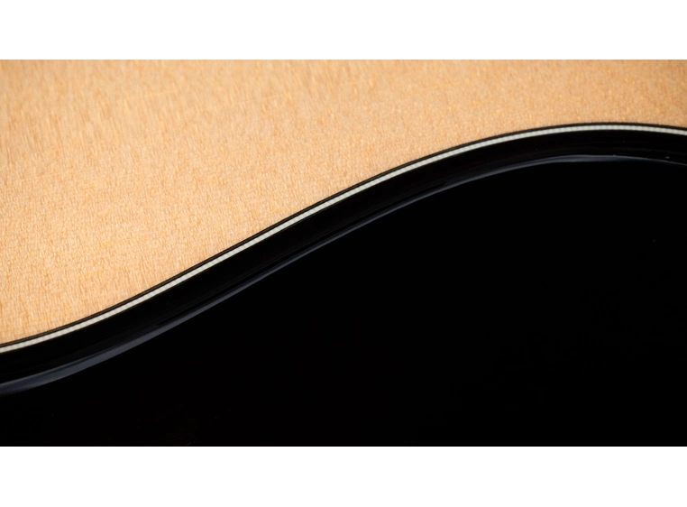 Taylor Builder's Edition 514ce Natural top 