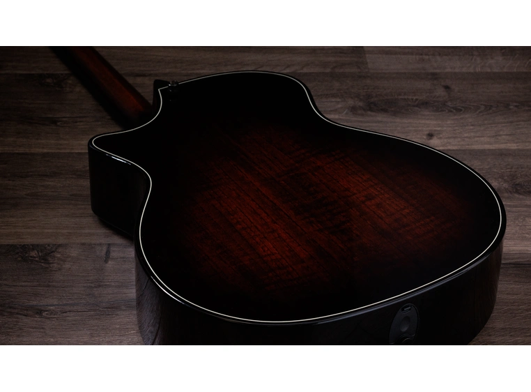 Taylor Builder's Edition 514ce Natural top 