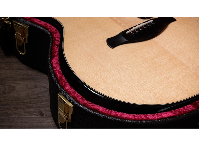 Taylor Builder's Edition 514ce Natural top 