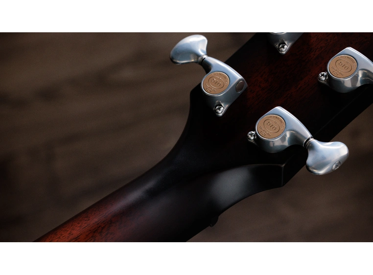 Taylor Builder's Edition 514ce Natural top 