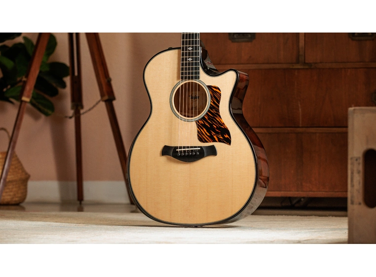 Taylor Builder's Edition 514ce Natural top 