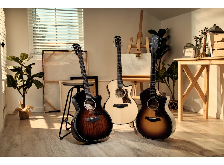 Taylor Builder's Edition 514ce Natural top 