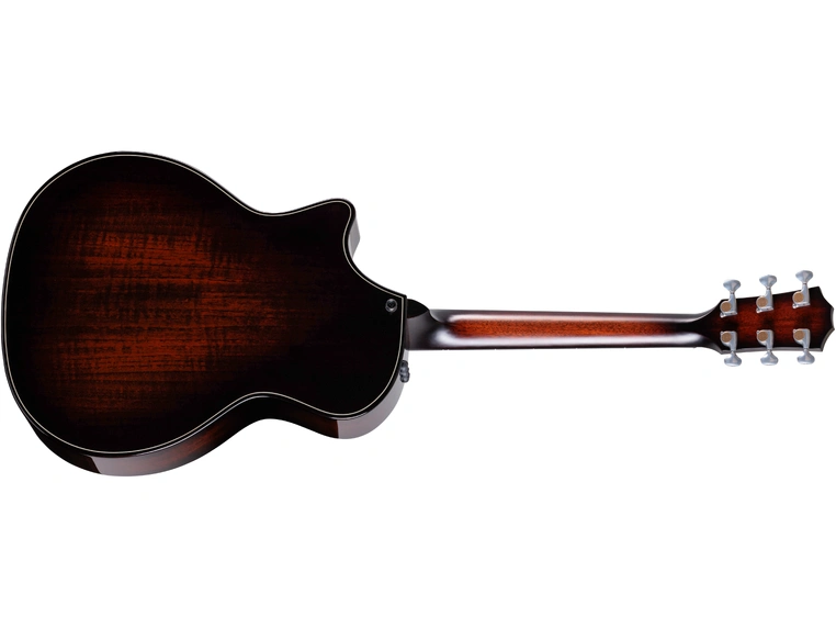 Taylor Builder's Edition 514ce Natural top 
