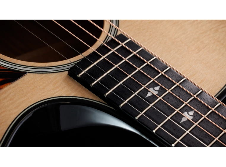 Taylor Builder's Edition 514ce Natural top 