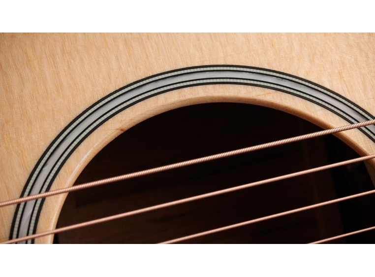 Taylor Builder's Edition 514ce Natural top 