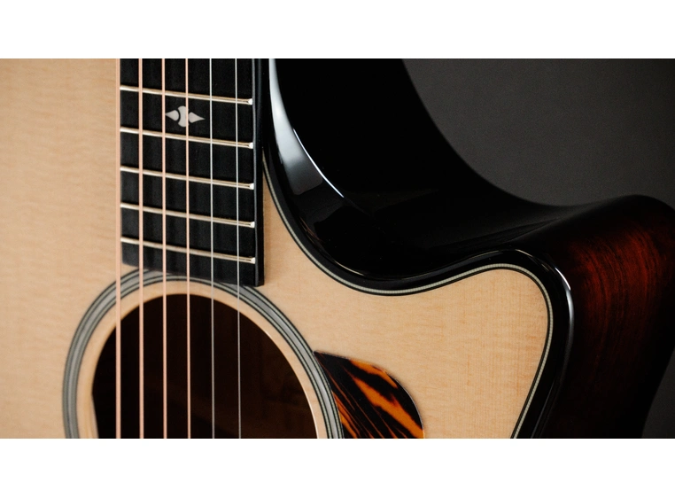 Taylor Builder's Edition 514ce Natural top 