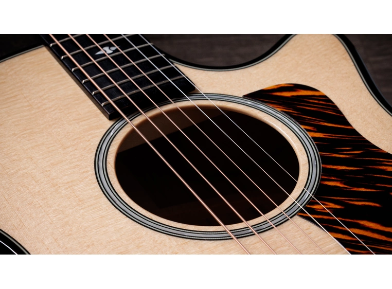 Taylor Builder's Edition 514ce Natural top 
