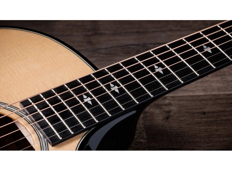 Taylor Builder's Edition 514ce Natural top 