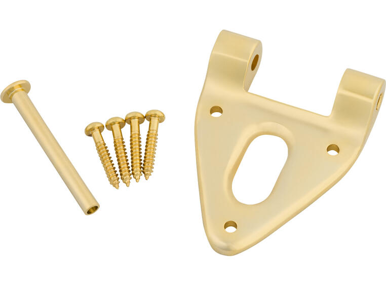 Bigsby Conventional Hinge w/Hinge Pin and Screws, Gold