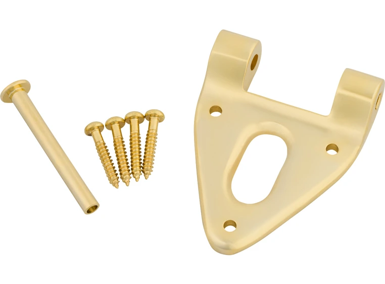 Bigsby Conventional Hinge w/Hinge Pin and Screws, Gold 