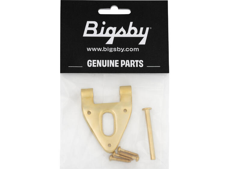 Bigsby Conventional Hinge w/Hinge Pin and Screws, Gold