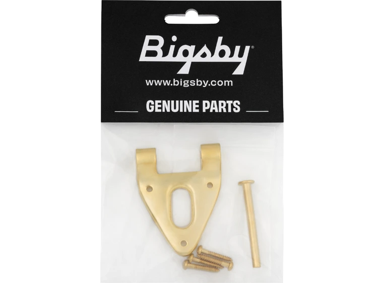 Bigsby Conventional Hinge w/Hinge Pin and Screws, Gold 