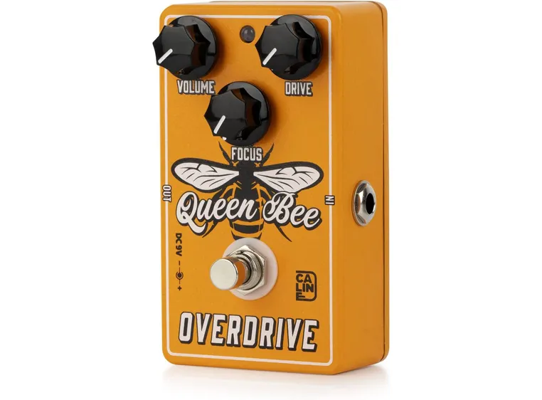 Caline CP-503 Queen Been 