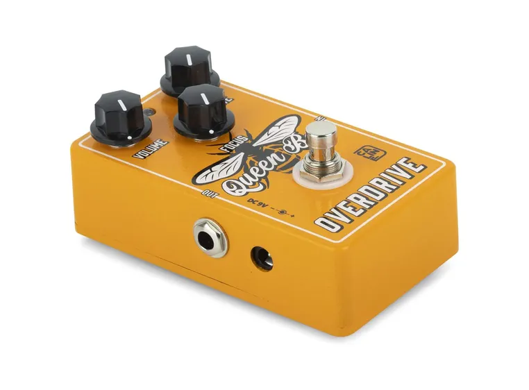 Caline CP-503 Queen Been 