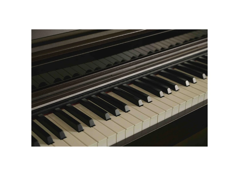 Casio AP-S450 BN Smart Hybrid Celviano 