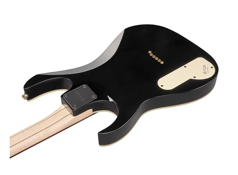 Ibanez PGM50-BK Paul Gilbert Signatur* *Kunderetur 