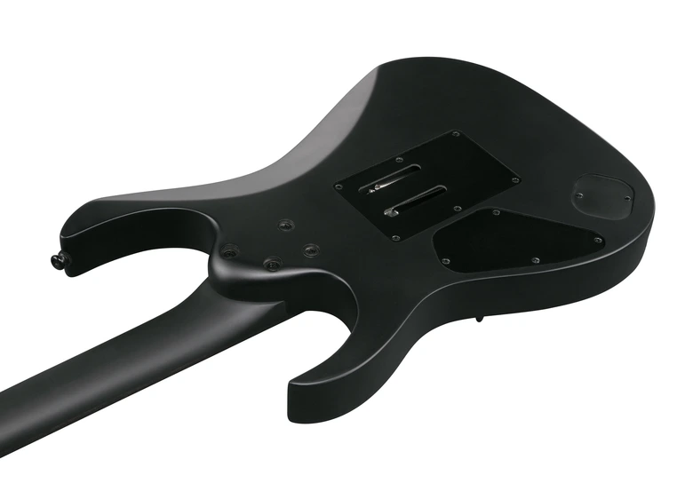 Ibanez RGRB620-BKF Elgitar RG Iron Label 