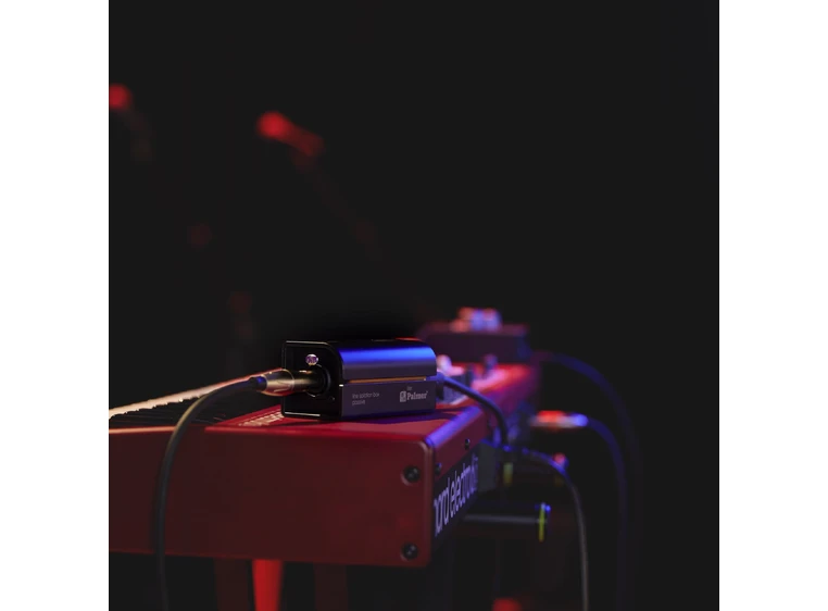 Palmer RIVER iller Passive Line Isolation, Combo Input 