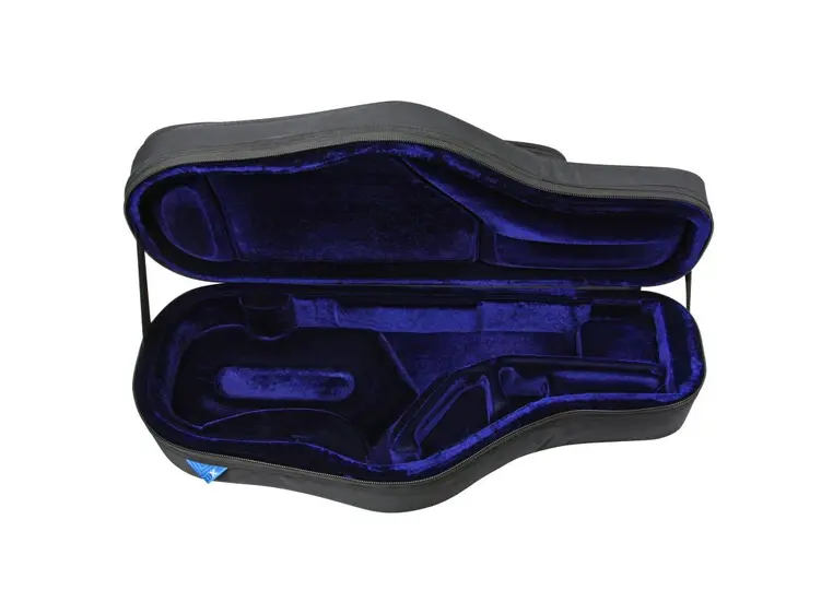 Reunion Blues RBX - Alto Sax Case 