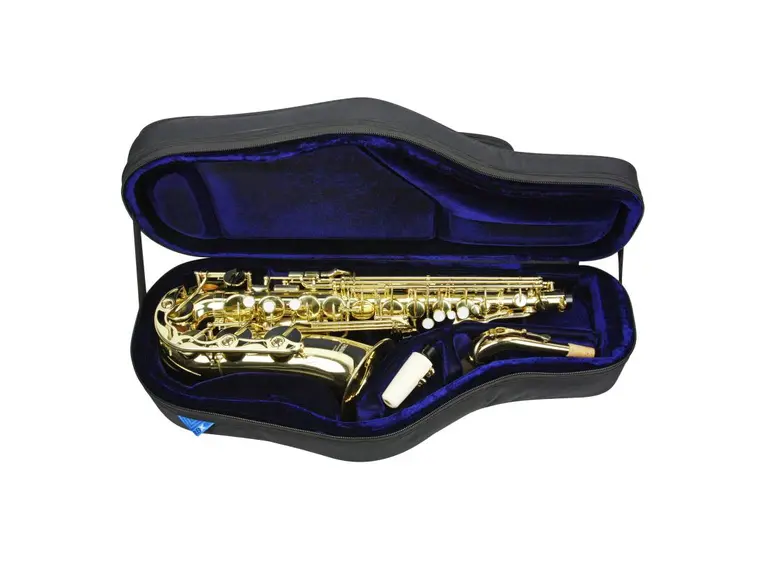 Reunion Blues RBX - Alto Sax Case 