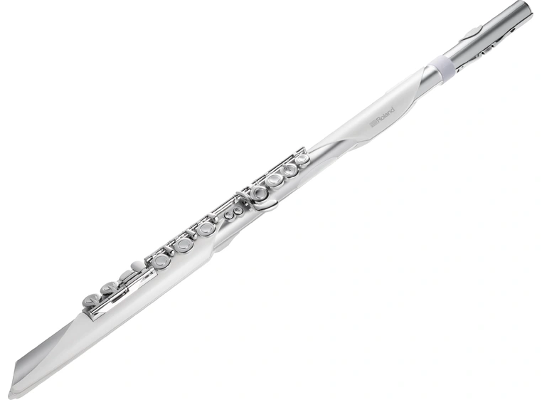 Roland Aerophone Brisa 