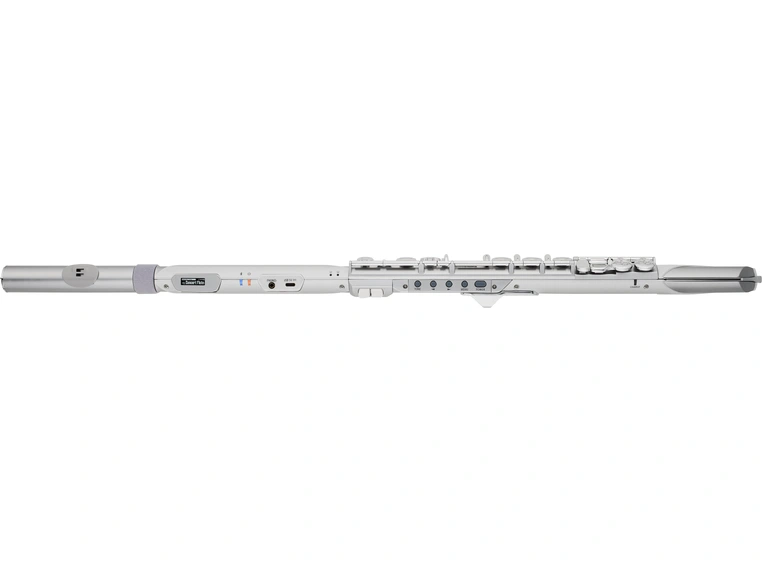 Roland Aerophone Brisa 