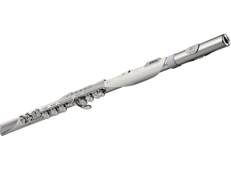 Roland Aerophone Brisa 