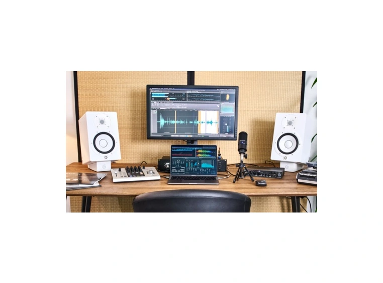 Steinberg WaveLab Elements 12 EDU Educational edition (download) 