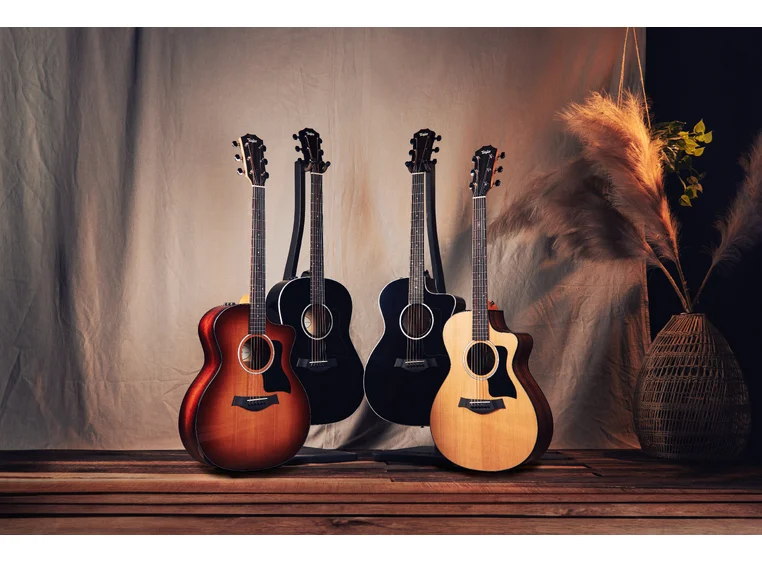 Taylor 214ce-K SB Plus 