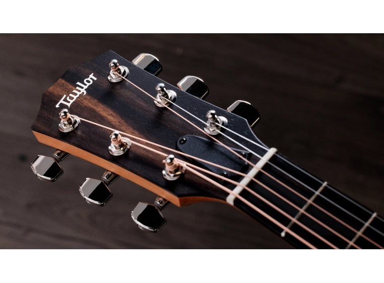 Taylor 214ce-K SB Plus 