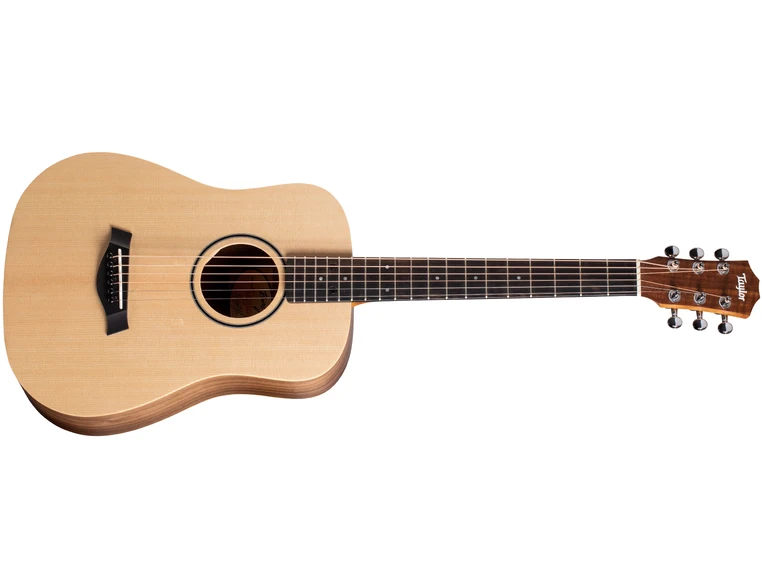 Taylor BT1 