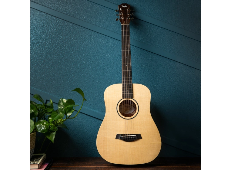 Taylor BT1 