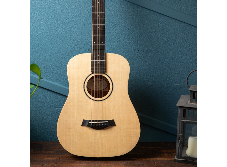 Taylor BT1 