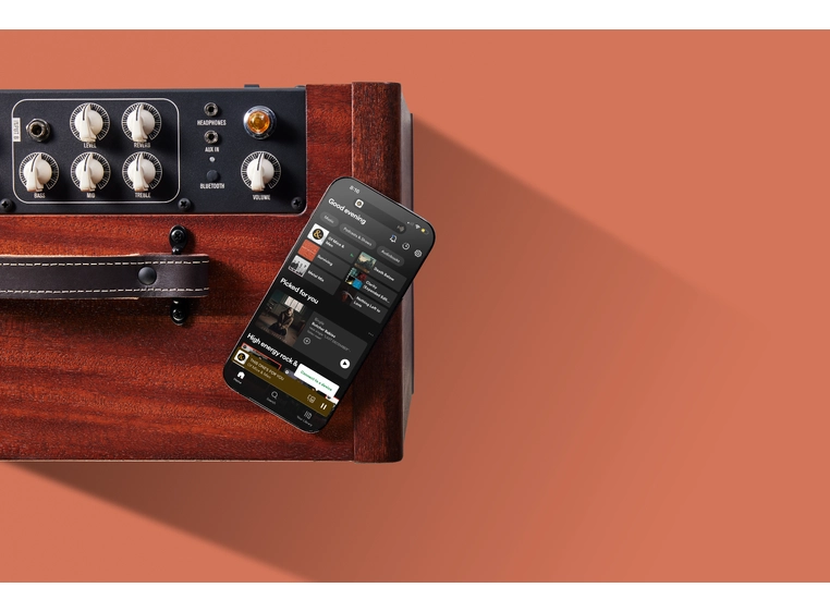 Taylor Circa 74 AV150-10 Amp w/stand Mahogany 