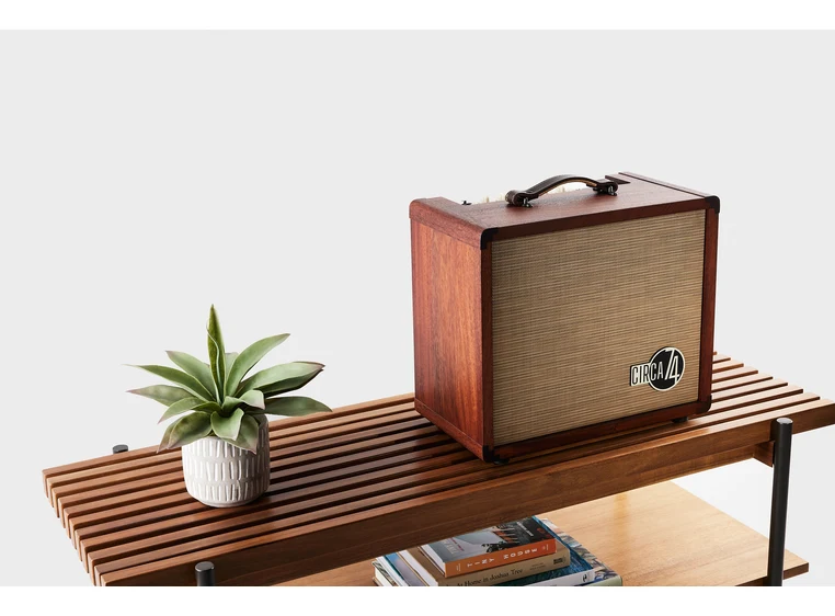 Taylor Circa 74 AV150-10 Amp w/stand Mahogany 