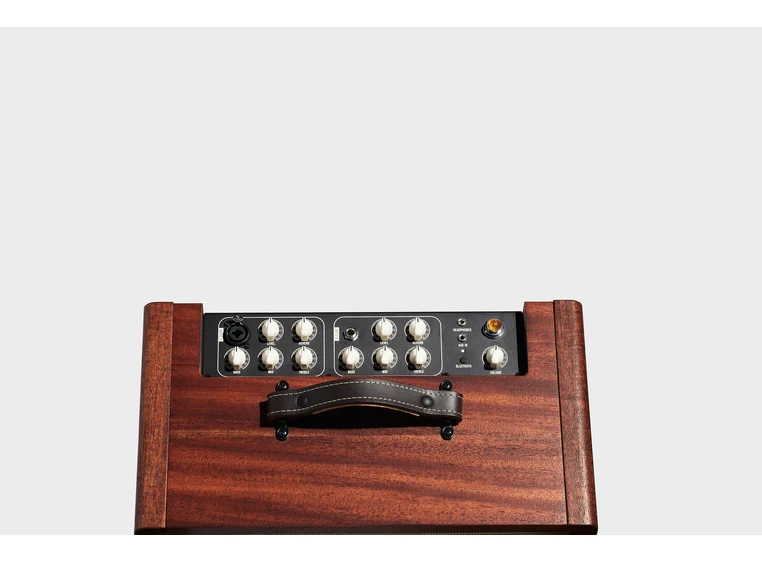 Taylor Circa 74 AV150-10 Amp w/stand Mahogany 