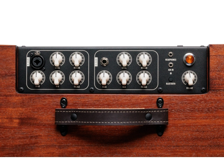 Taylor Circa 74 AV150-10 Amp w/stand Mahogany 