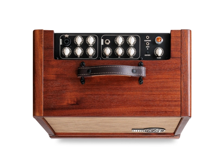 Taylor Circa 74 AV150-10 Amp w/stand Mahogany 