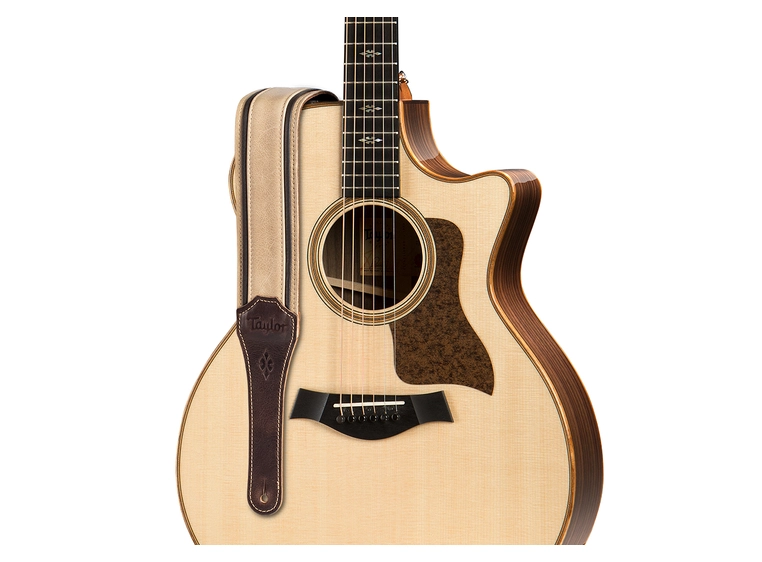 Taylor Reflections Strap Spruce/Ebony Leather, 2.5" 