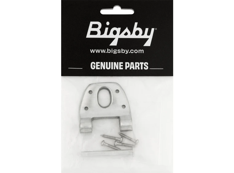 Bigsby Extra Short Hinge w/Hinge Pin and Screws, Polished 