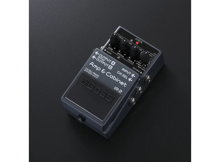 Boss IR-2 Amp & Cabinet 